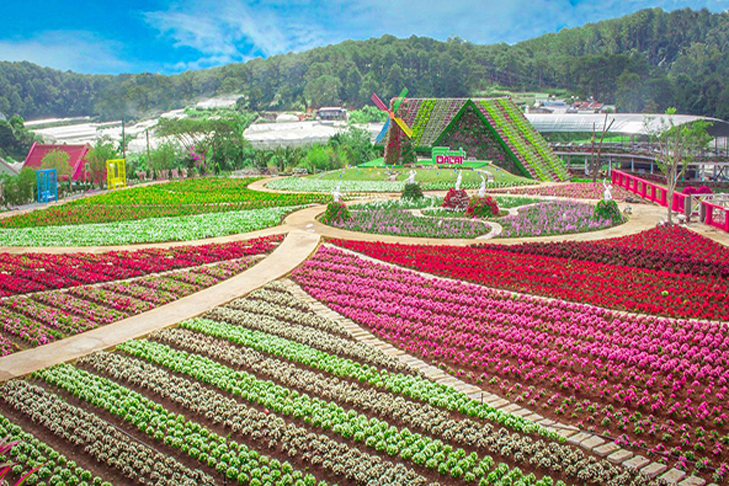 Da Lat flower tour